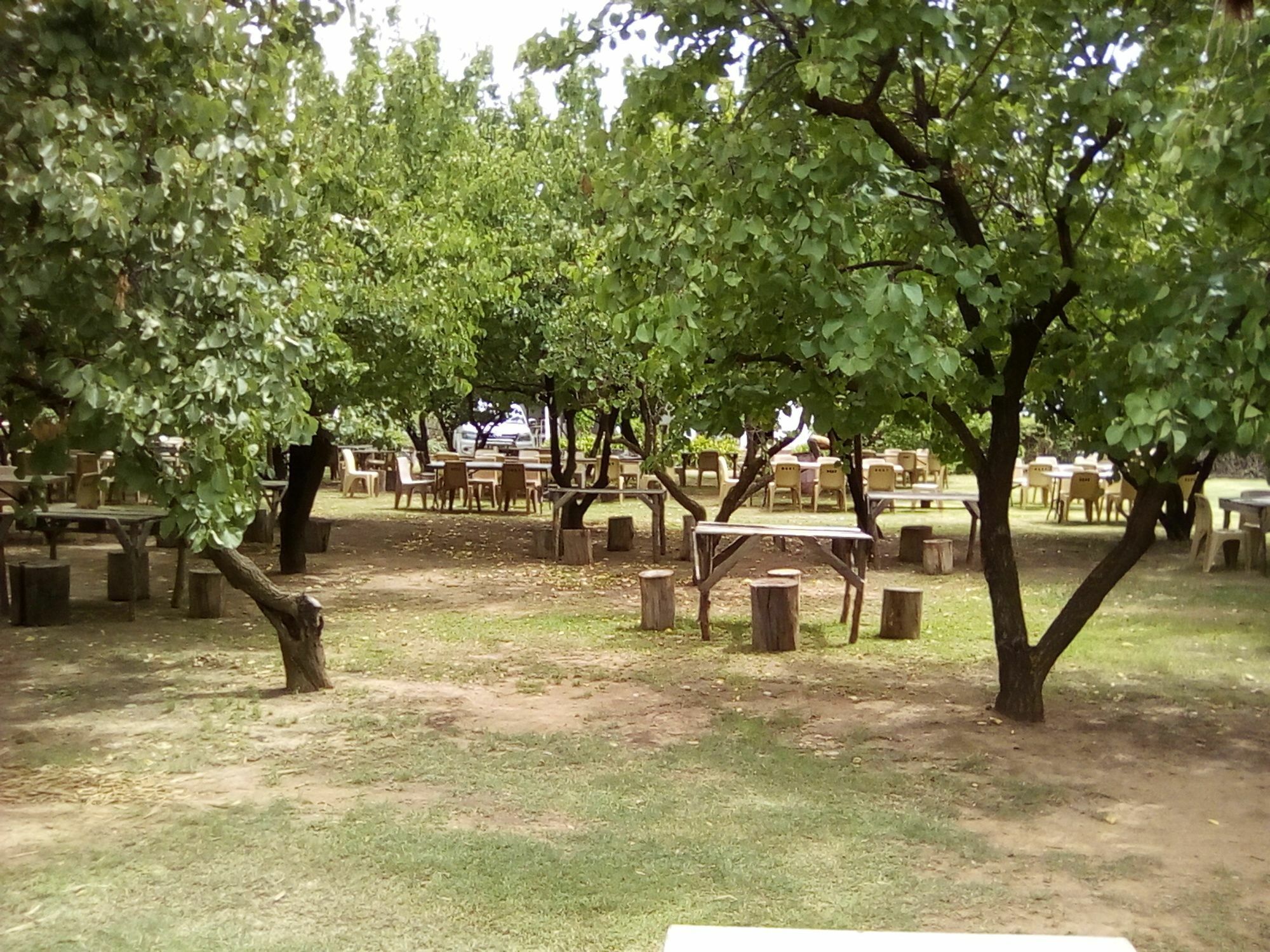 Oue Werf Country House Oudtshoorn Eksteriør bilde
